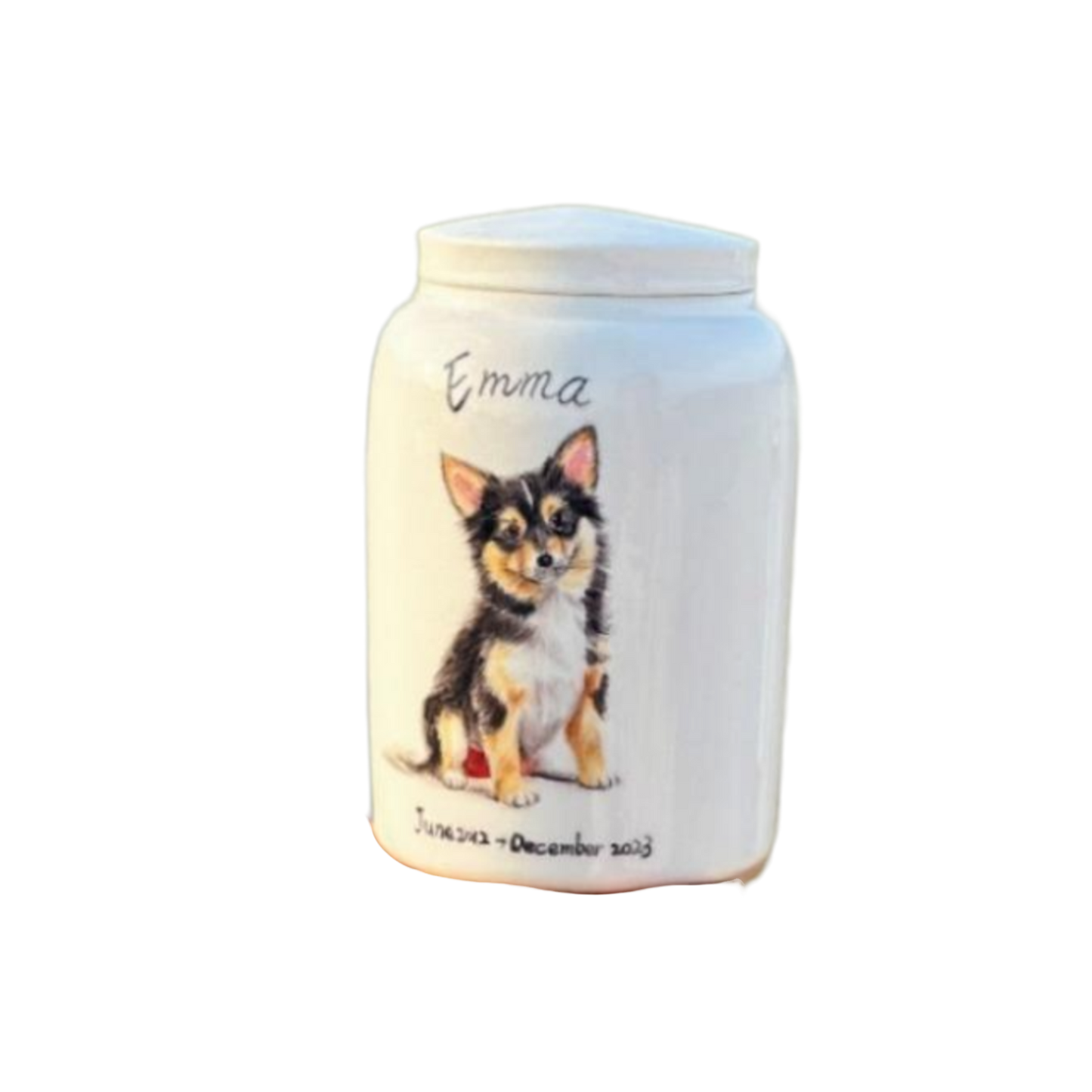 Hand-Painted Ceramic Pet Ash Urn – Custom Pet Portrait, Memorial Jar, High-Fire Porcelain Keepsake for Dog or Cat, 850ml