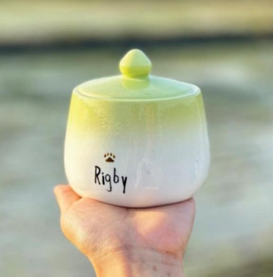 Hand-Painted Small Ceramic Pet Ash Urn – Minimalist Style, Custom Name, High-Fire Porcelain Memorial Keepsake, 850ml